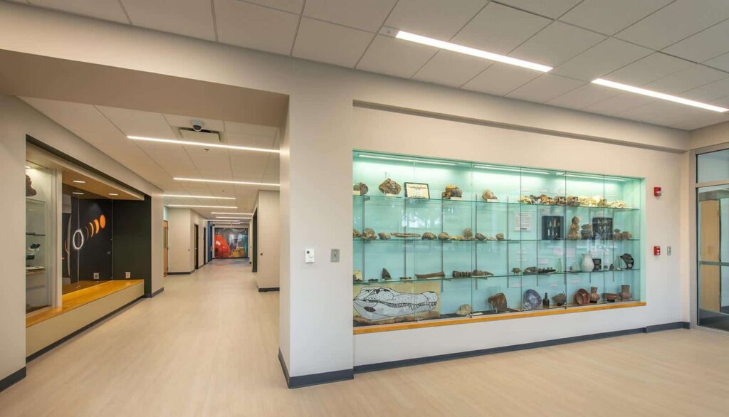 A hallway featuring glass display cases filled with fossils and artifacts, illuminated by bright ceiling lights. Additional doors and an open corridor lead further into the building.