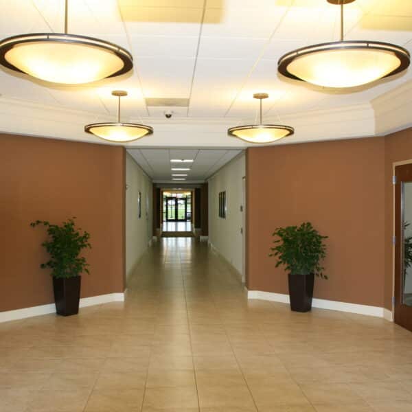 A hallway featuring beige tile flooring and brown walls, illuminated by four ceiling lights. Two potted plants decorate the space, with doors on both sides, all leading to a distant exit bathed in natural light.